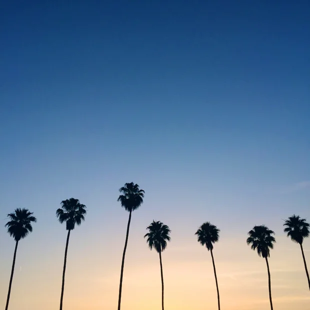 15415_CoachellaDay2_19.jpg