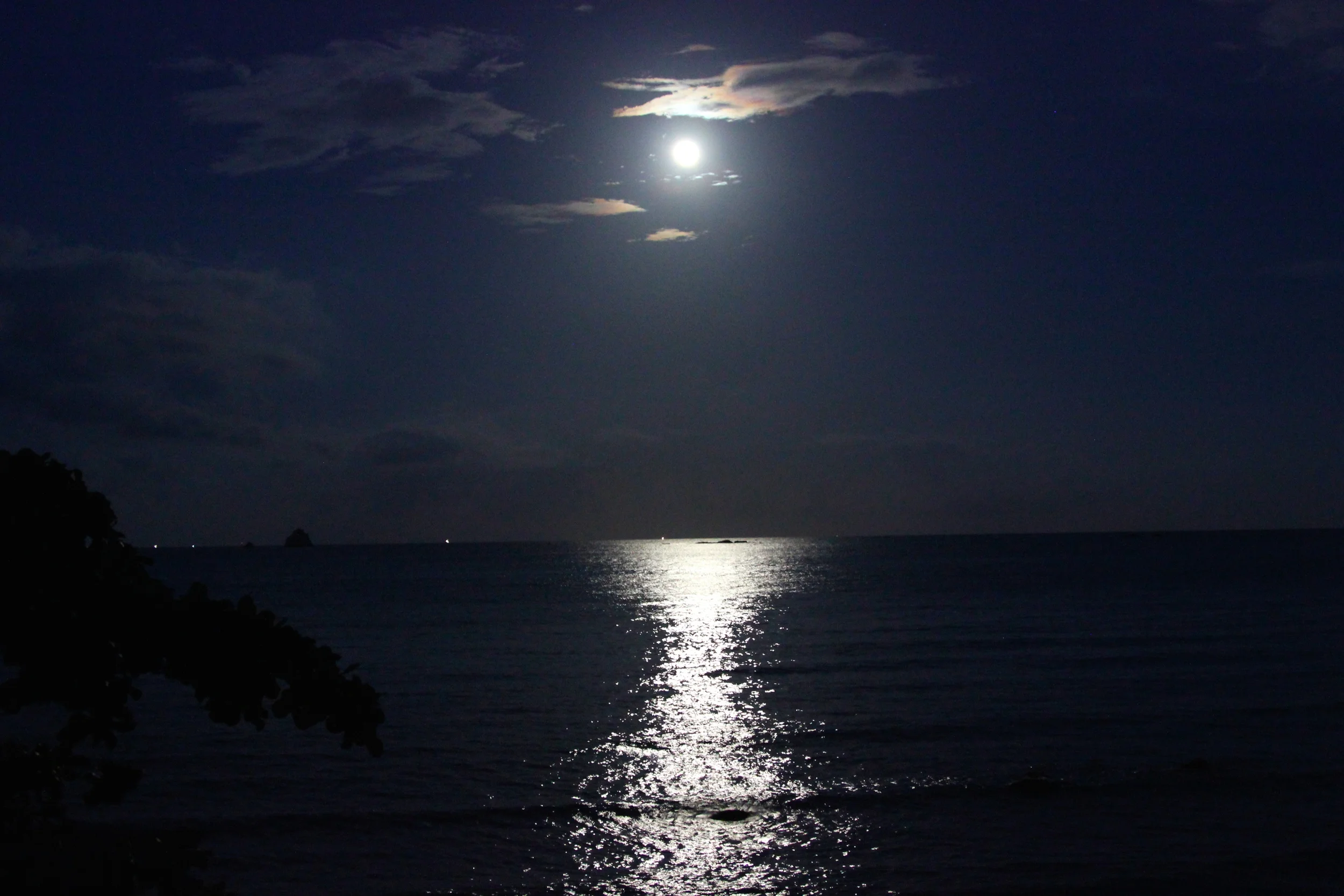 Victoria's Secret Bikini, Bespoke Inn Linen Top, Tularosa Dress