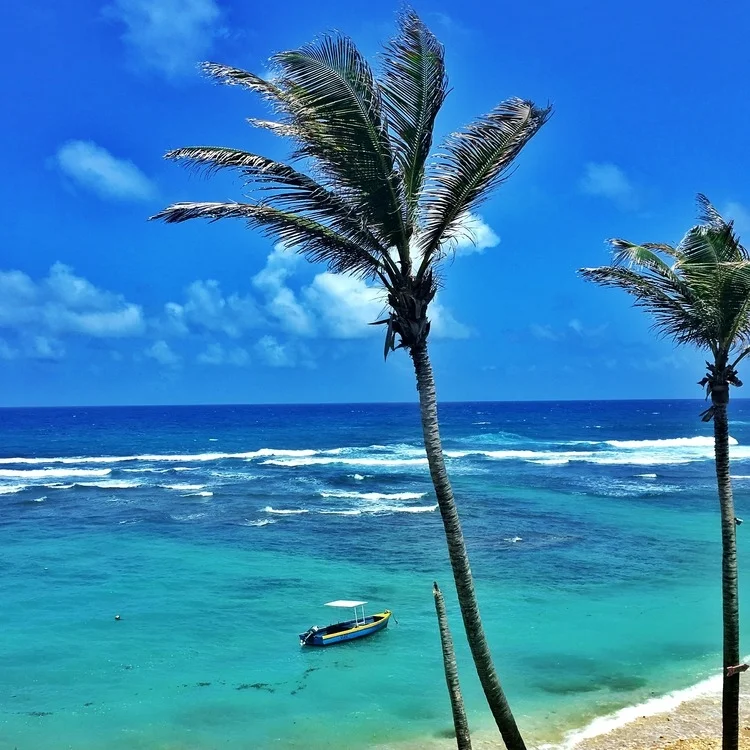 Barbados Diary II