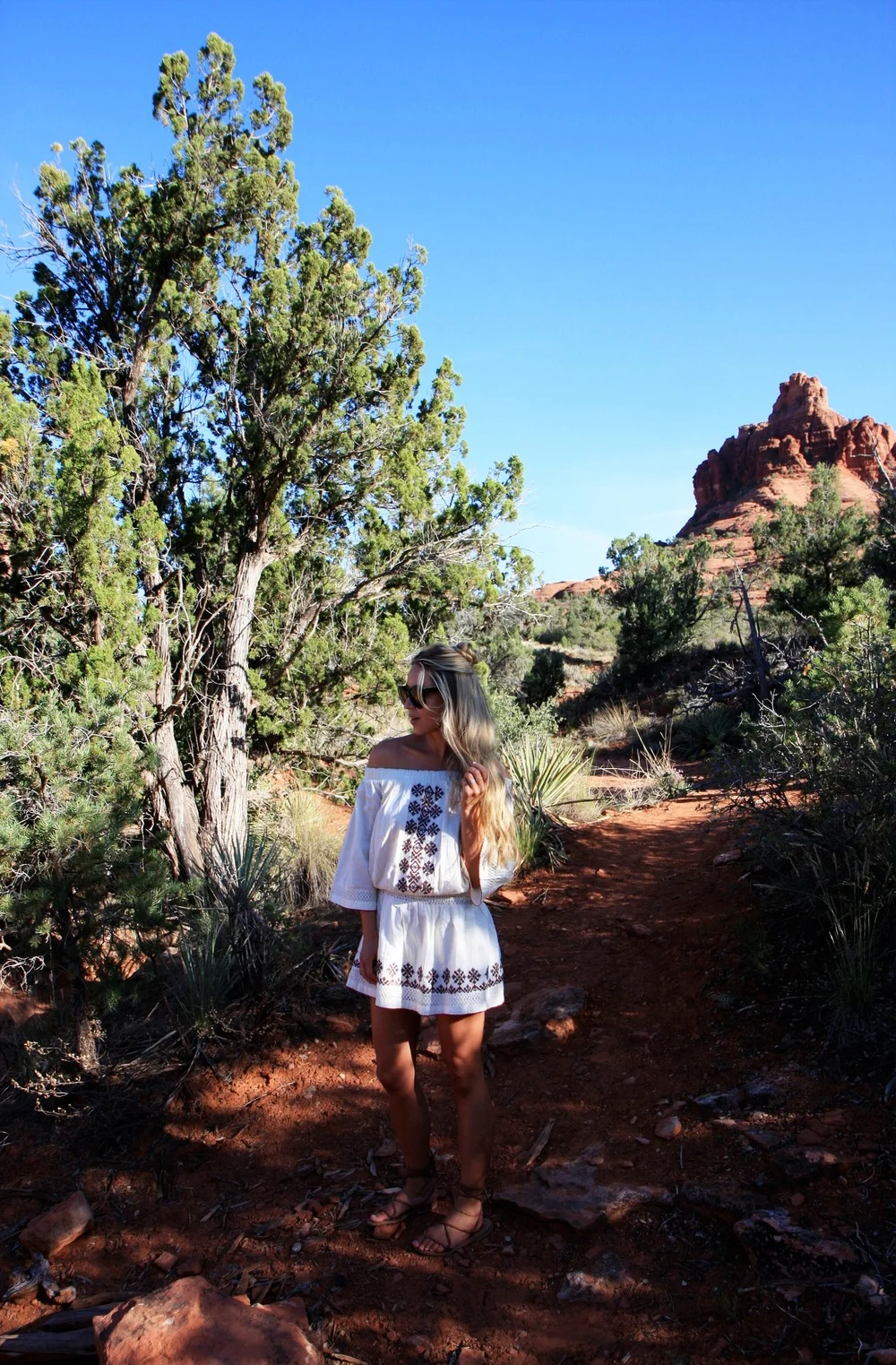 Arizona Diary.