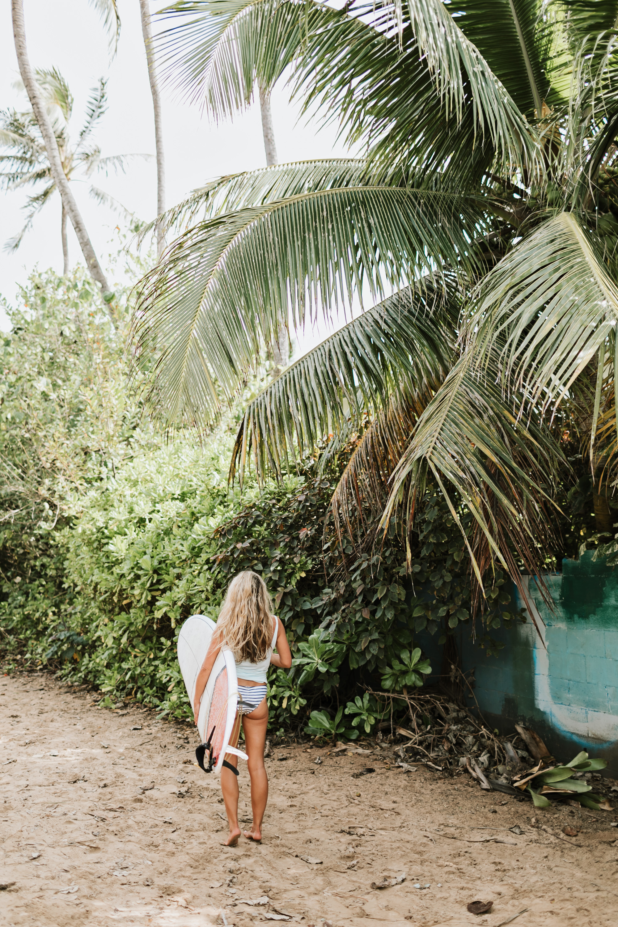 Hawaii Diary IV