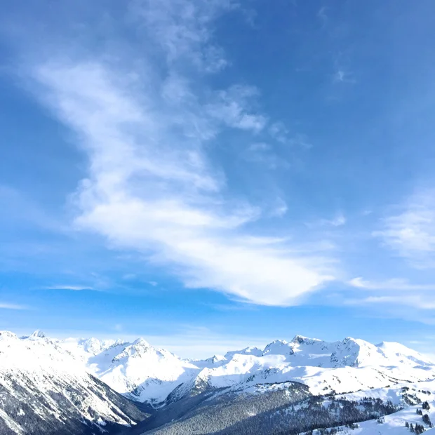 Whistler Winter Diary