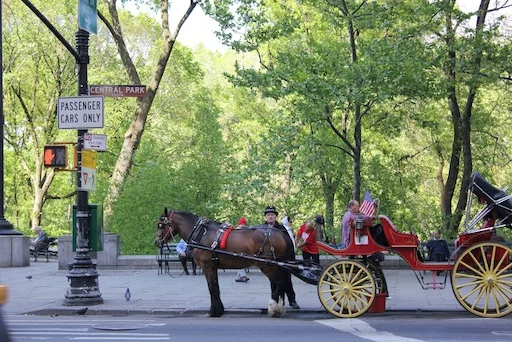 Central Park