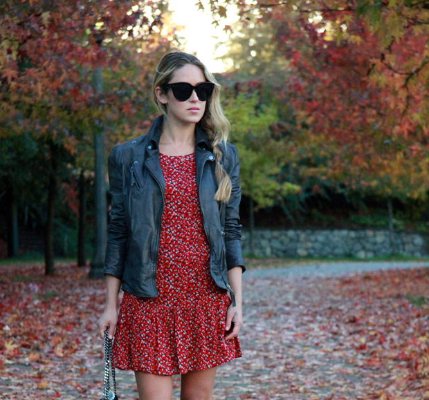 fall.