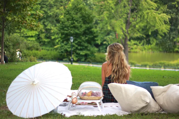 Picnic in Central Park.