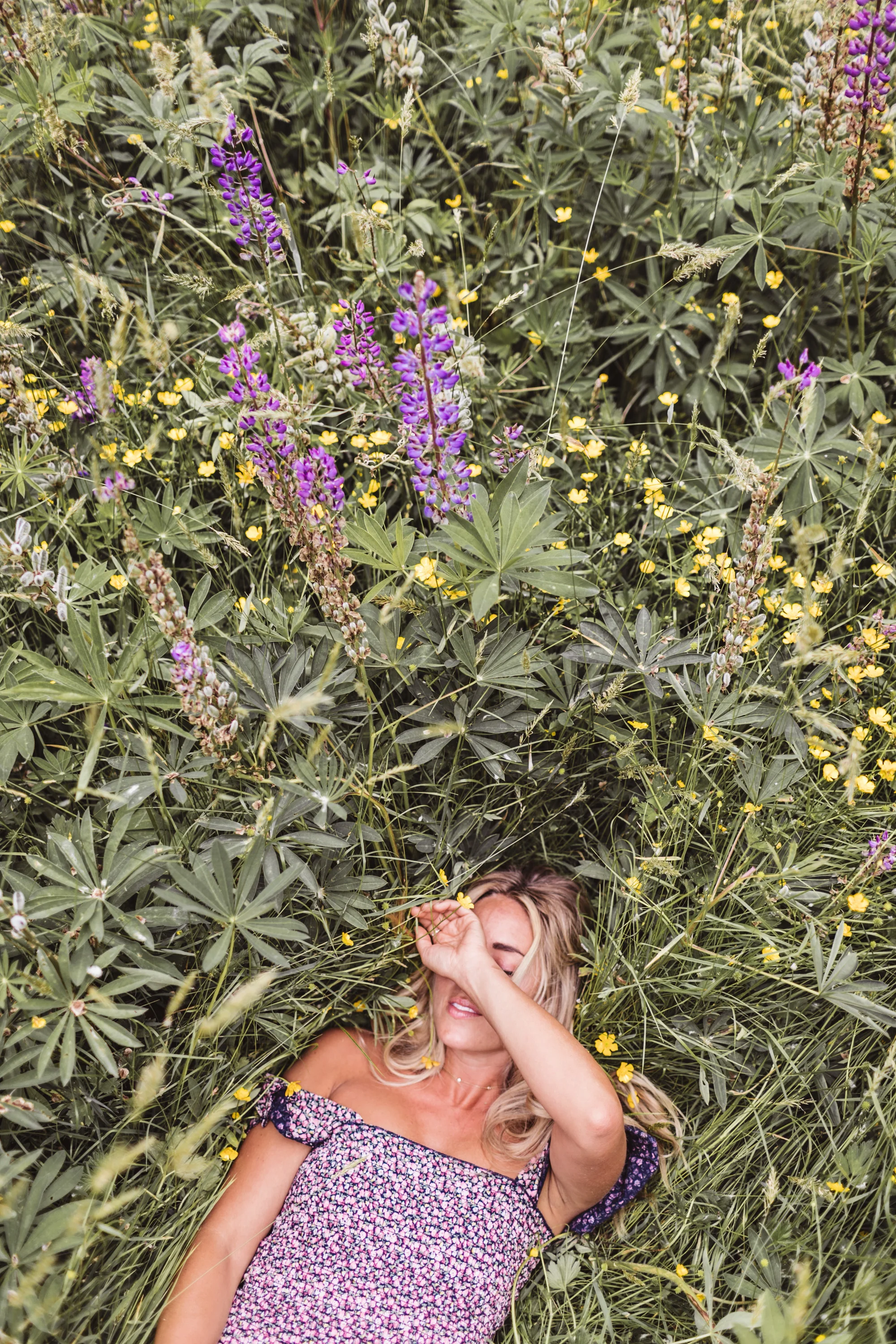 Photos by Allison Kuhl