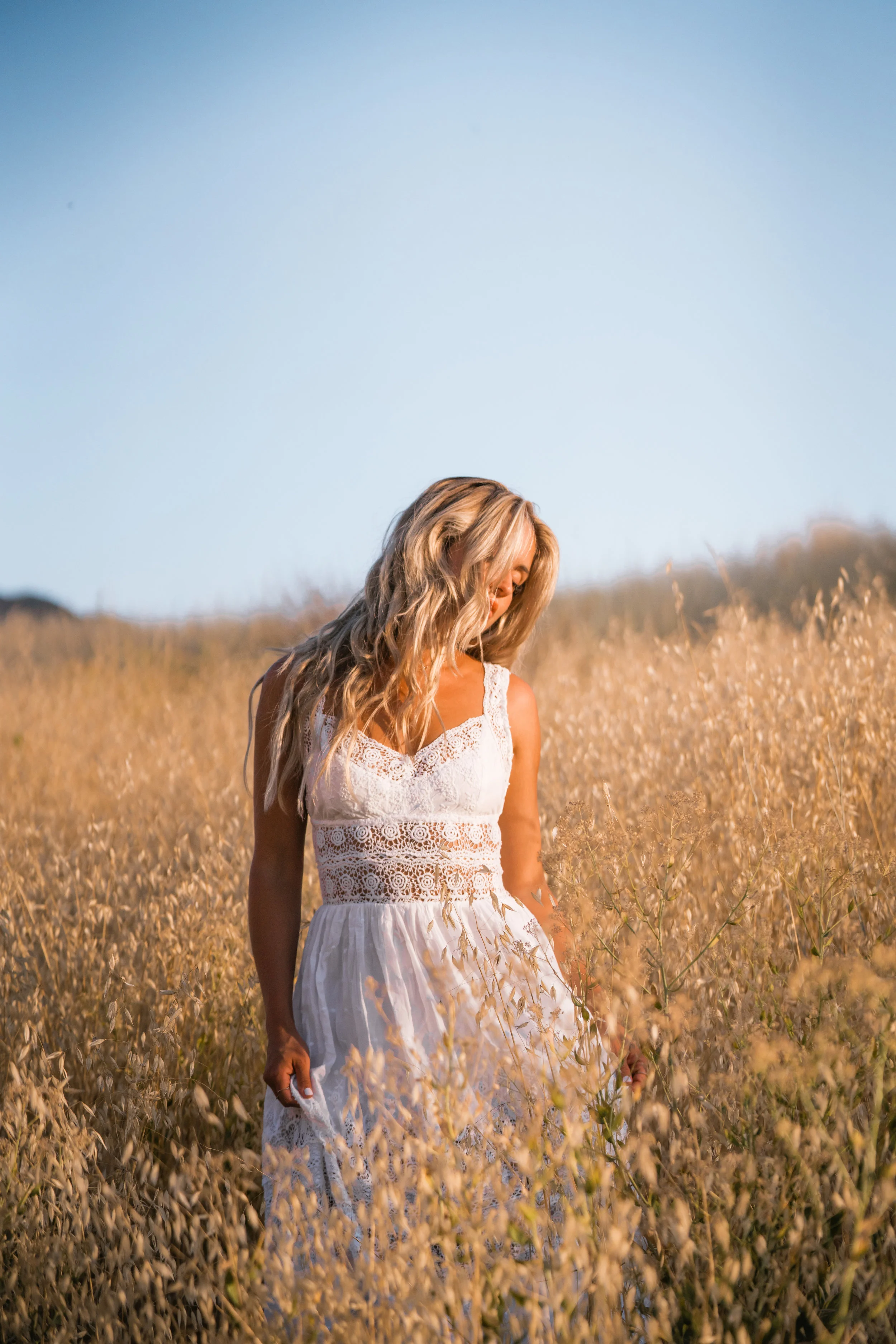 Endless Summer.