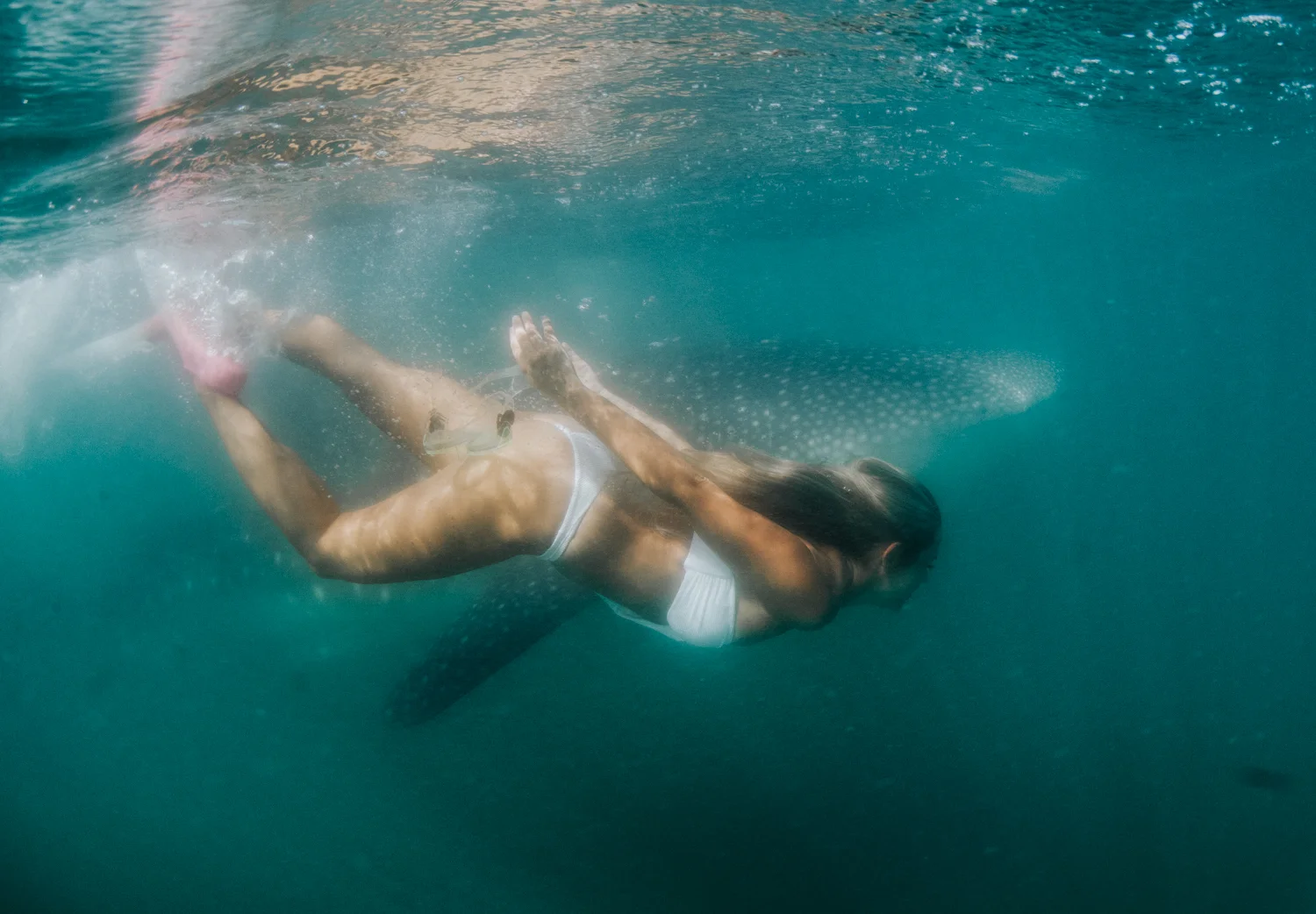CaboTransatWhale-12.jpg