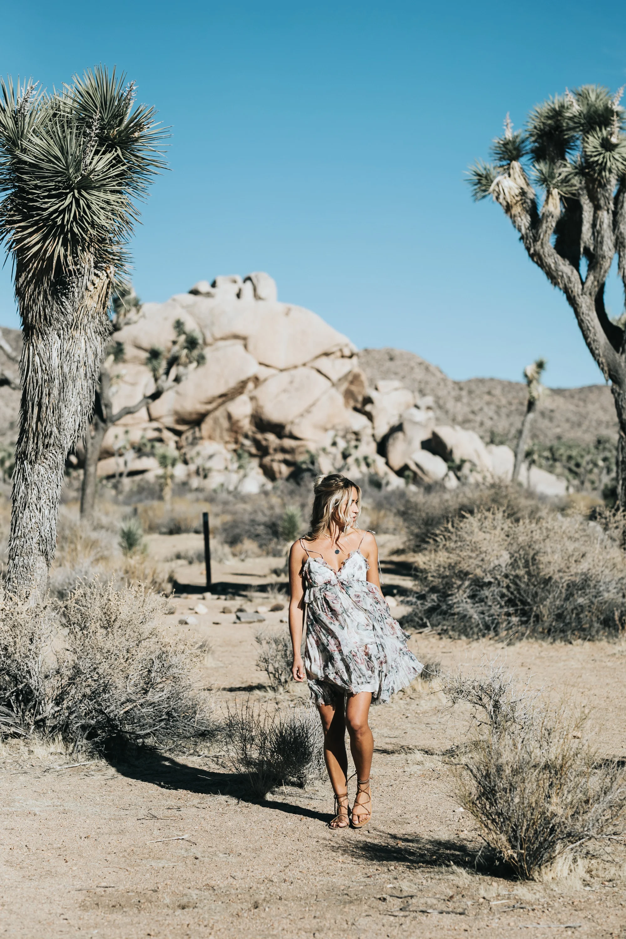 PalmSprings-JoshuaTree-Dec2017-4505.jpg