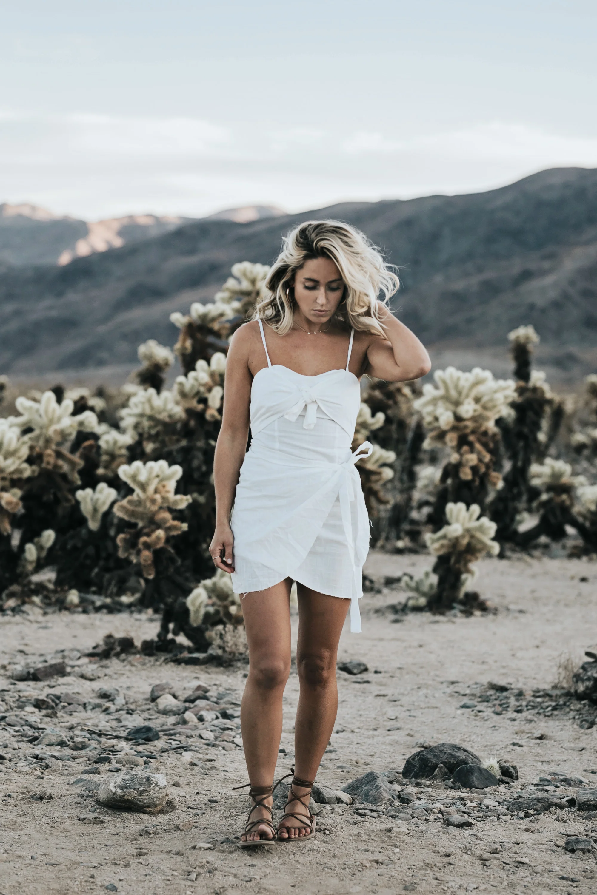 PalmSprings-JoshuaTree-Dec2017-5061.jpg