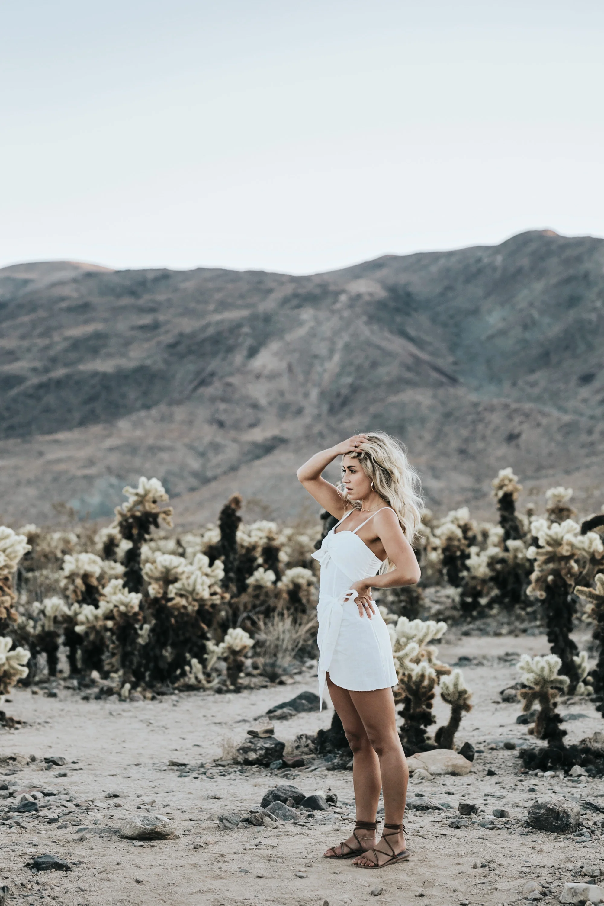 PalmSprings-JoshuaTree-Dec2017-5093.jpg