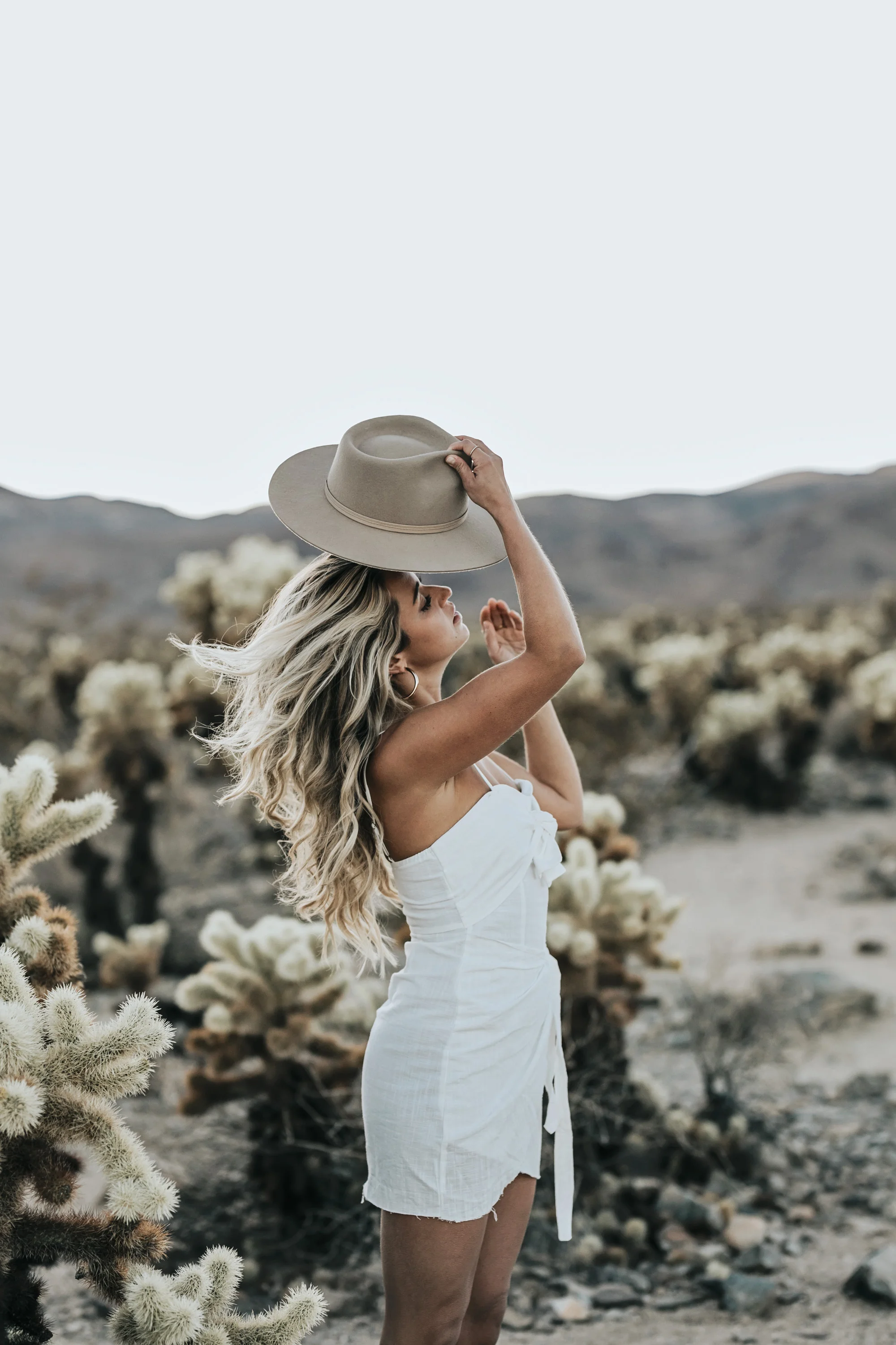 Joshua Tree III