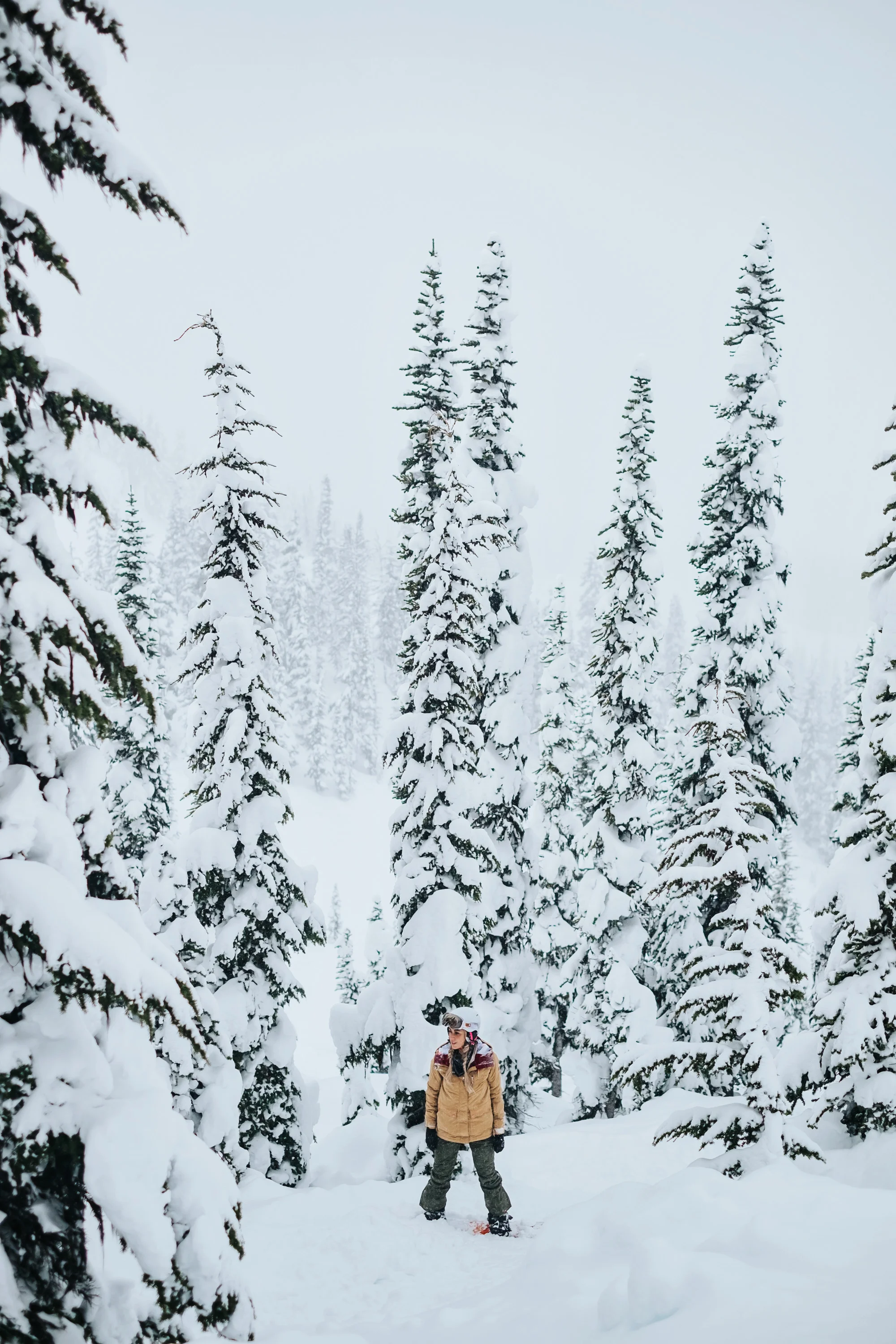 Whistler Adventure 2018.