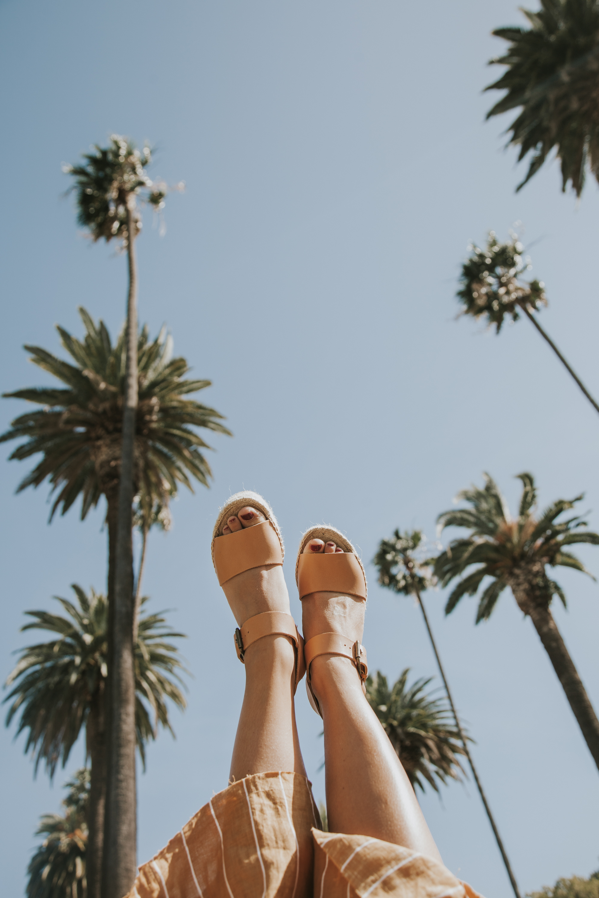 Soludos in L.A