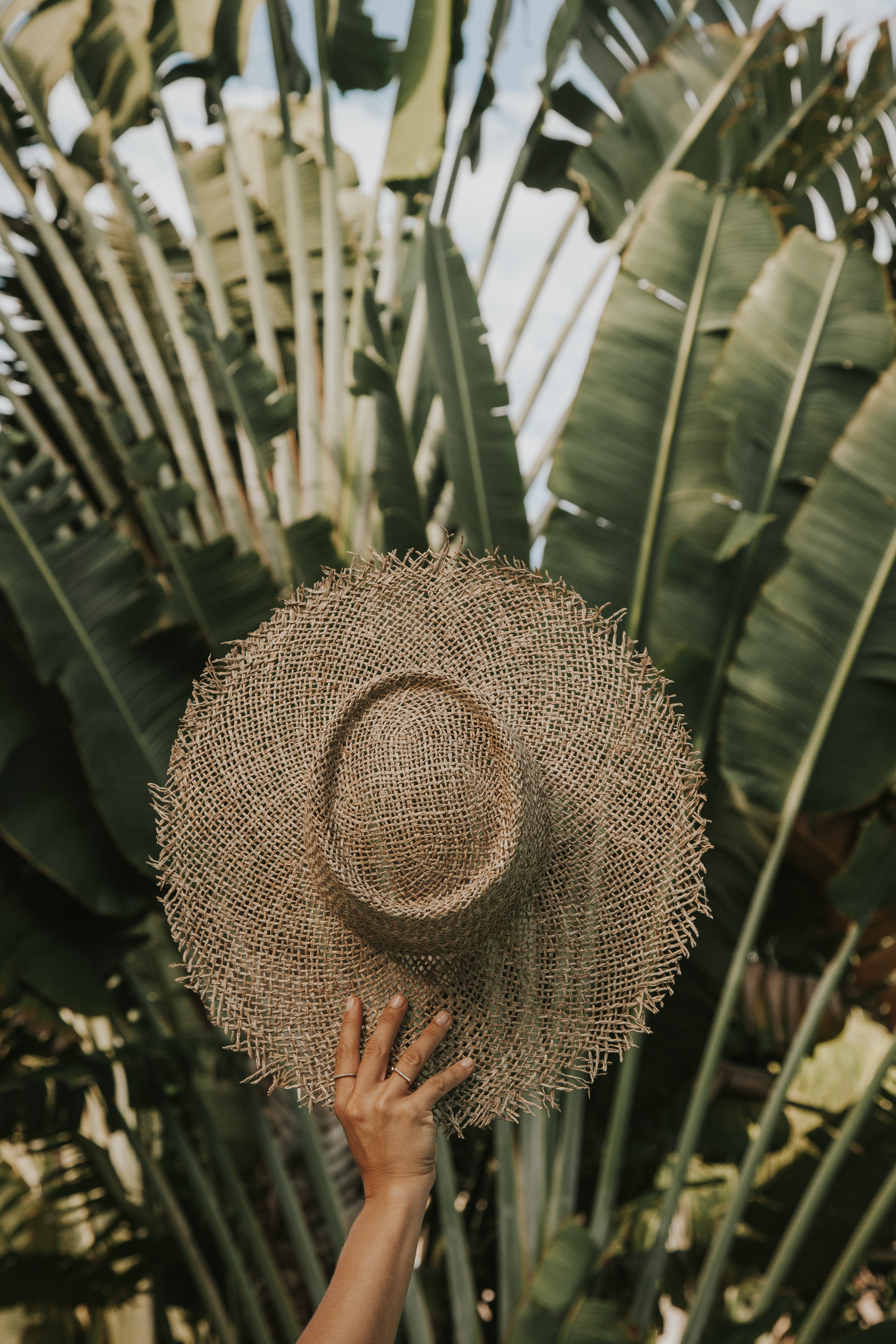 Playa Del Carmen