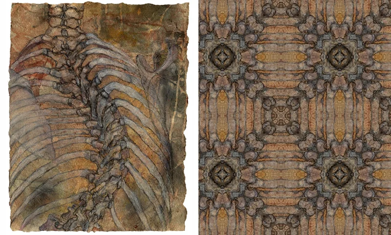Ribcage.jpg