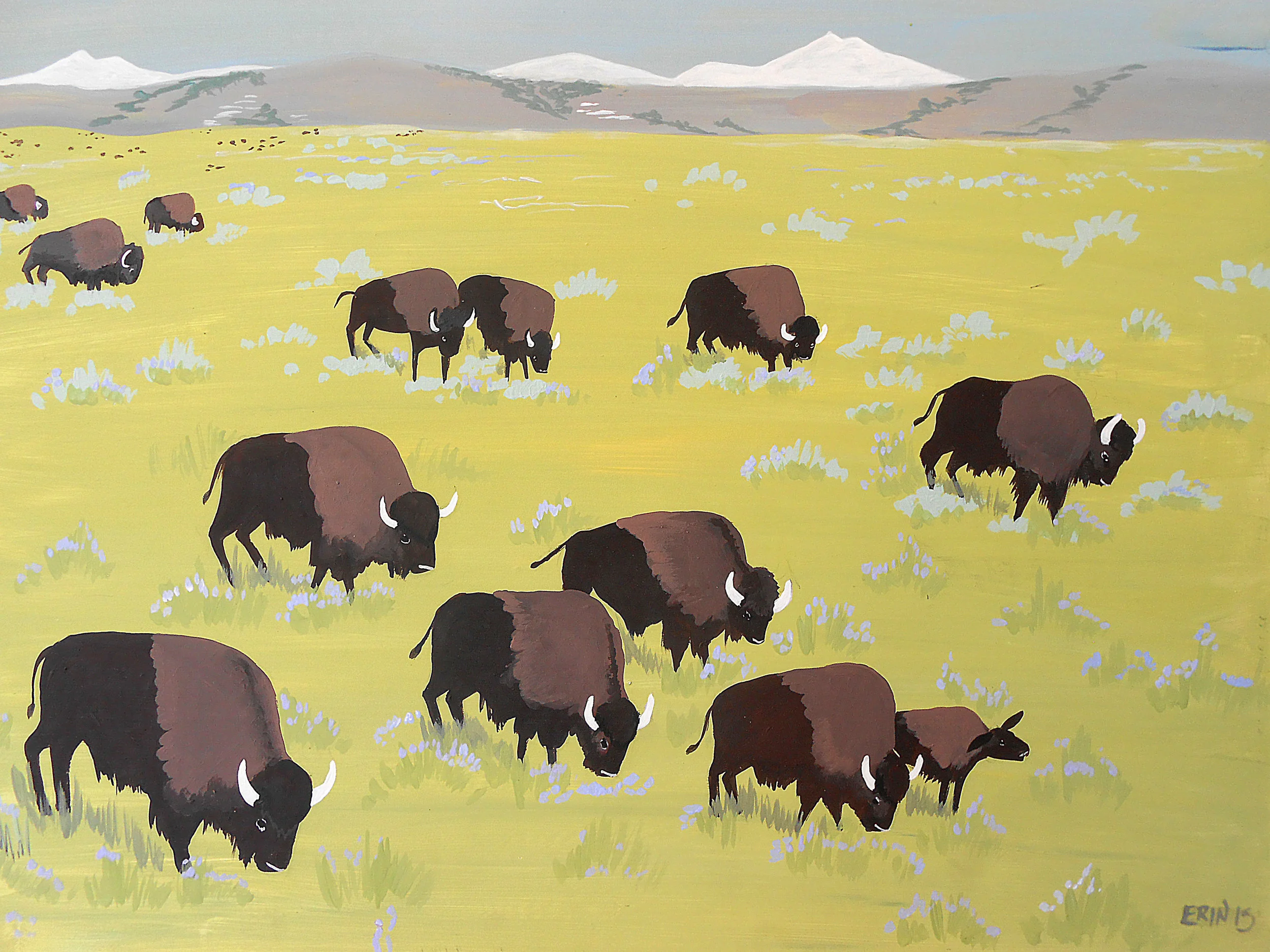 Bison