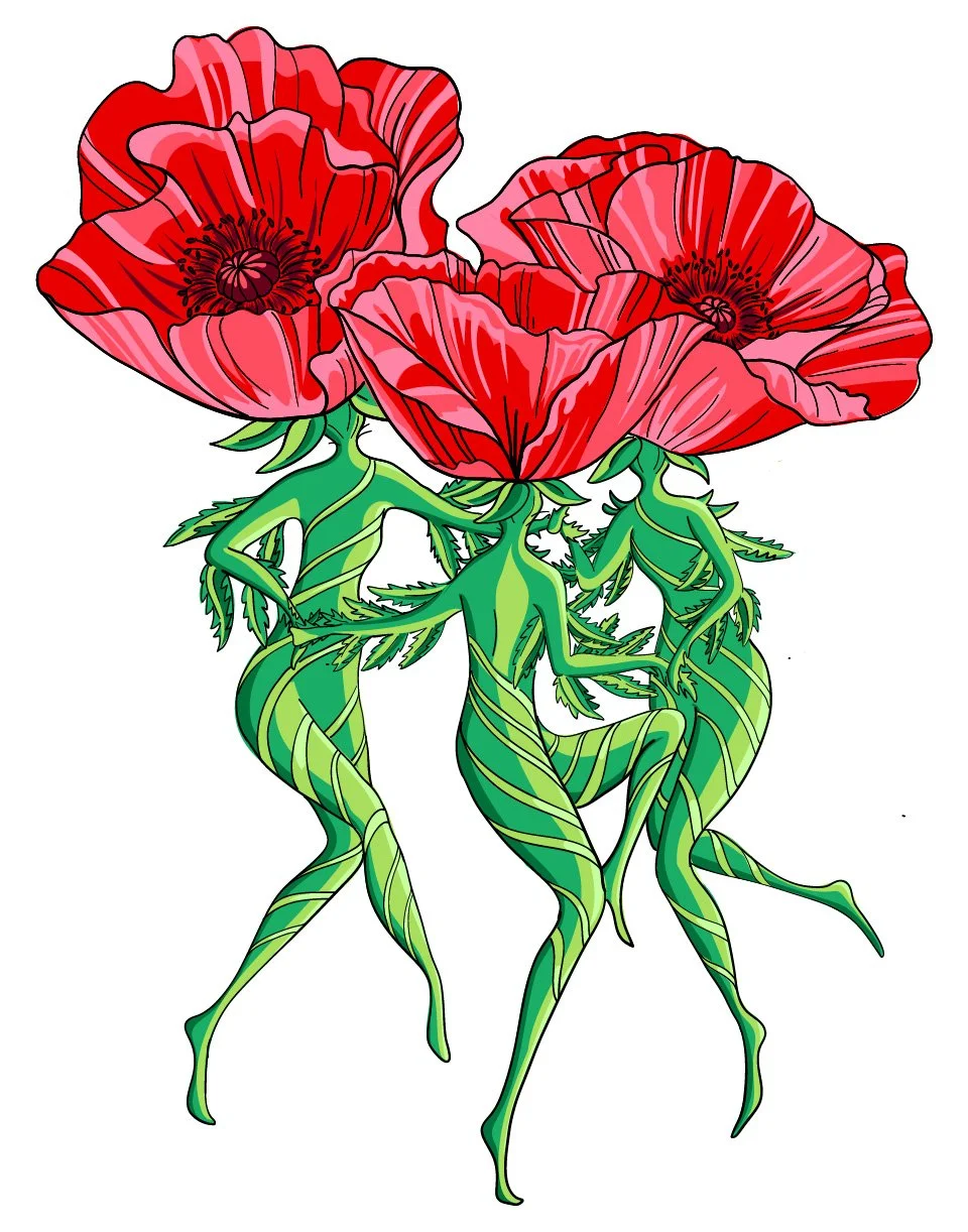 Dancing Poppies.jpg