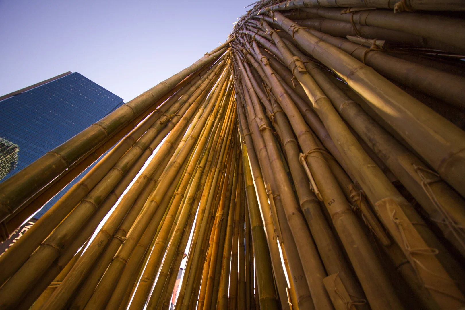 Near Kin Kin, Art and About Sydney 2015 — Cave Urban