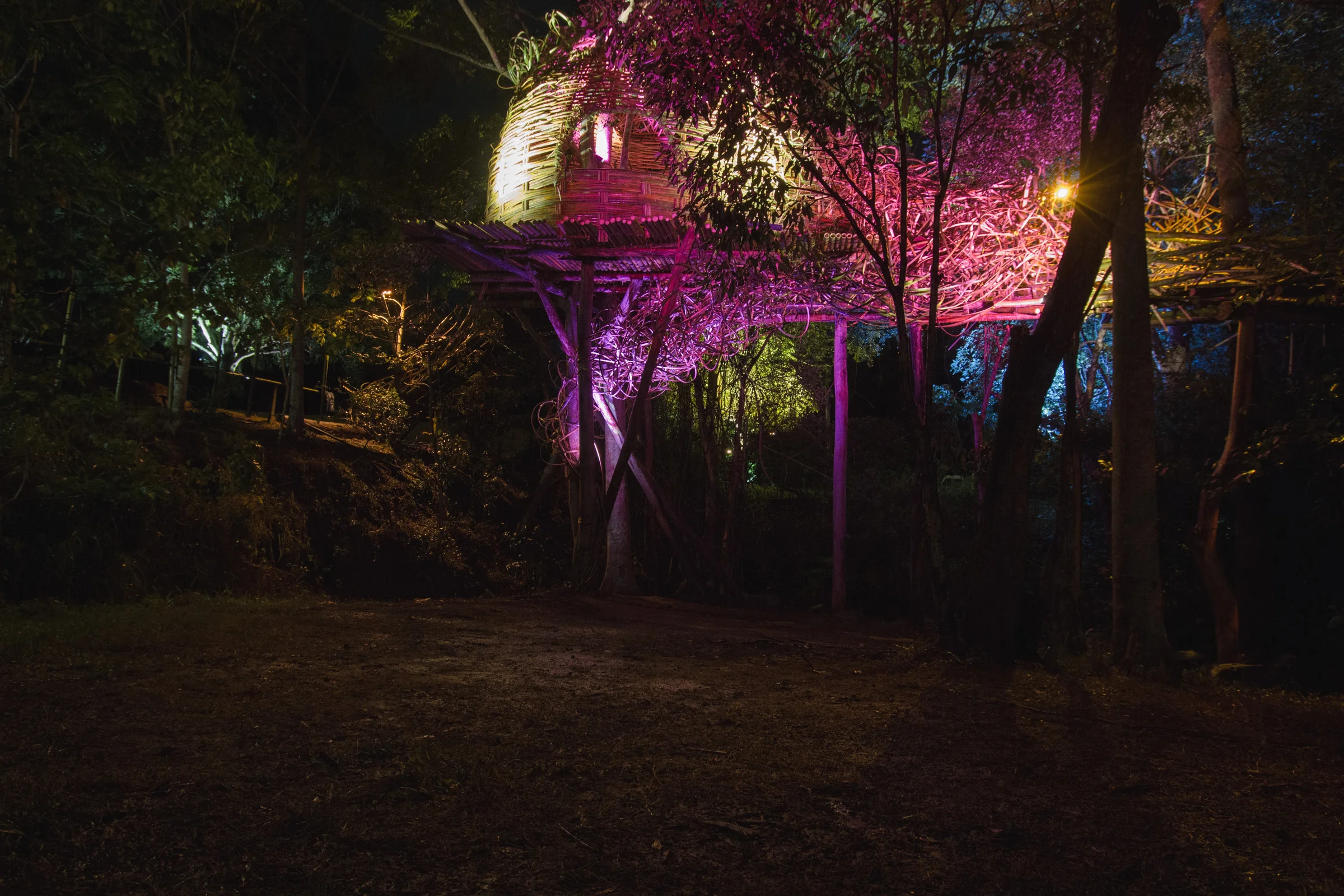 Tree house photography by Mercurio Alvarado  (42 of 132).jpg