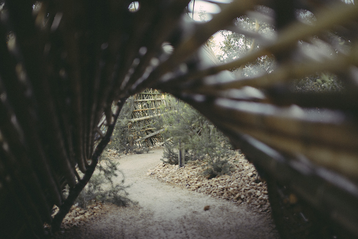 Infinity Tunnels  by Mercurio Alvarado  (28 of 28).jpg