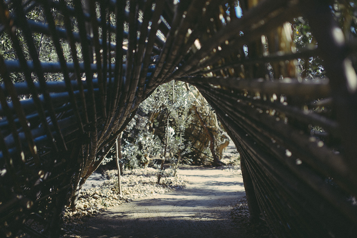 Infinity Tunnels  by Mercurio Alvarado  (27 of 28).jpg