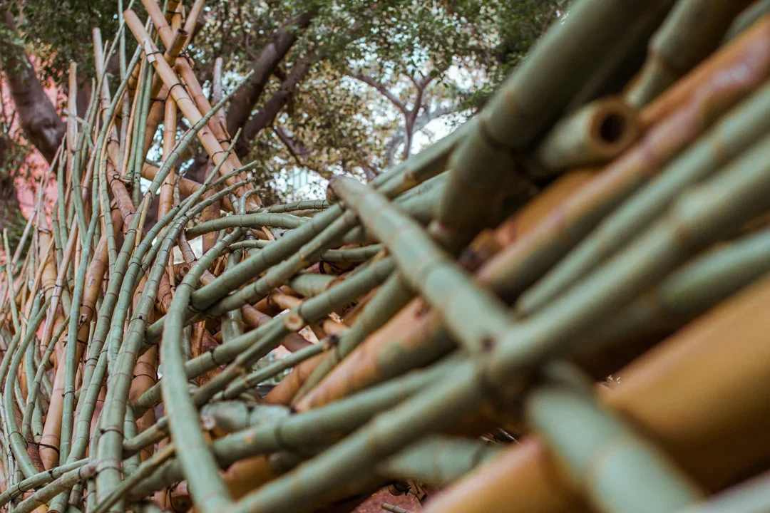 Specturum_photography+Mercurio+Alvarado+(23+of+53).webp