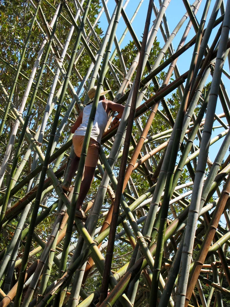 jed+on+bridge.webp