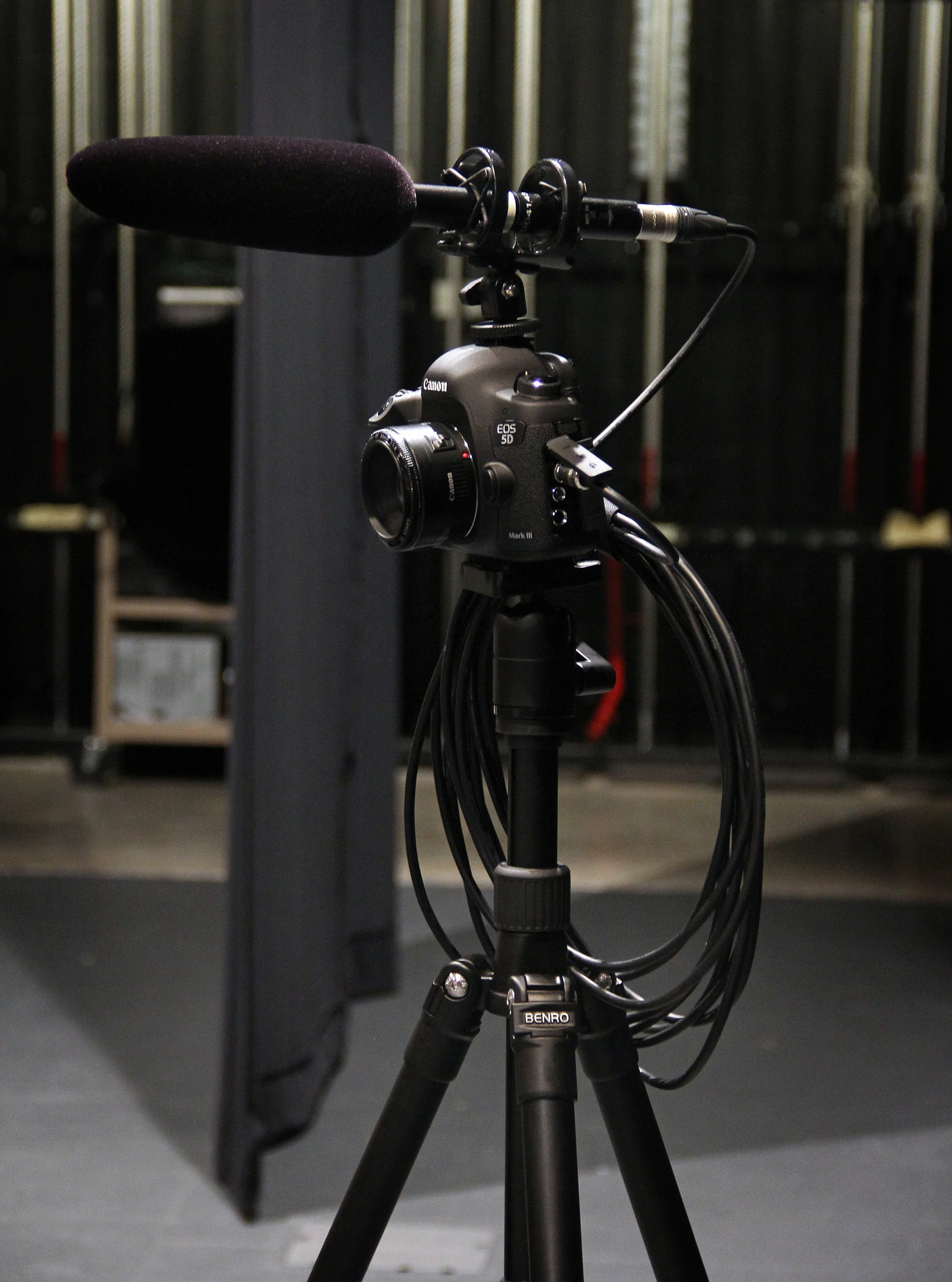 My Canon 5d Mk III on a Benro tripod with a shotgun microphone attached.