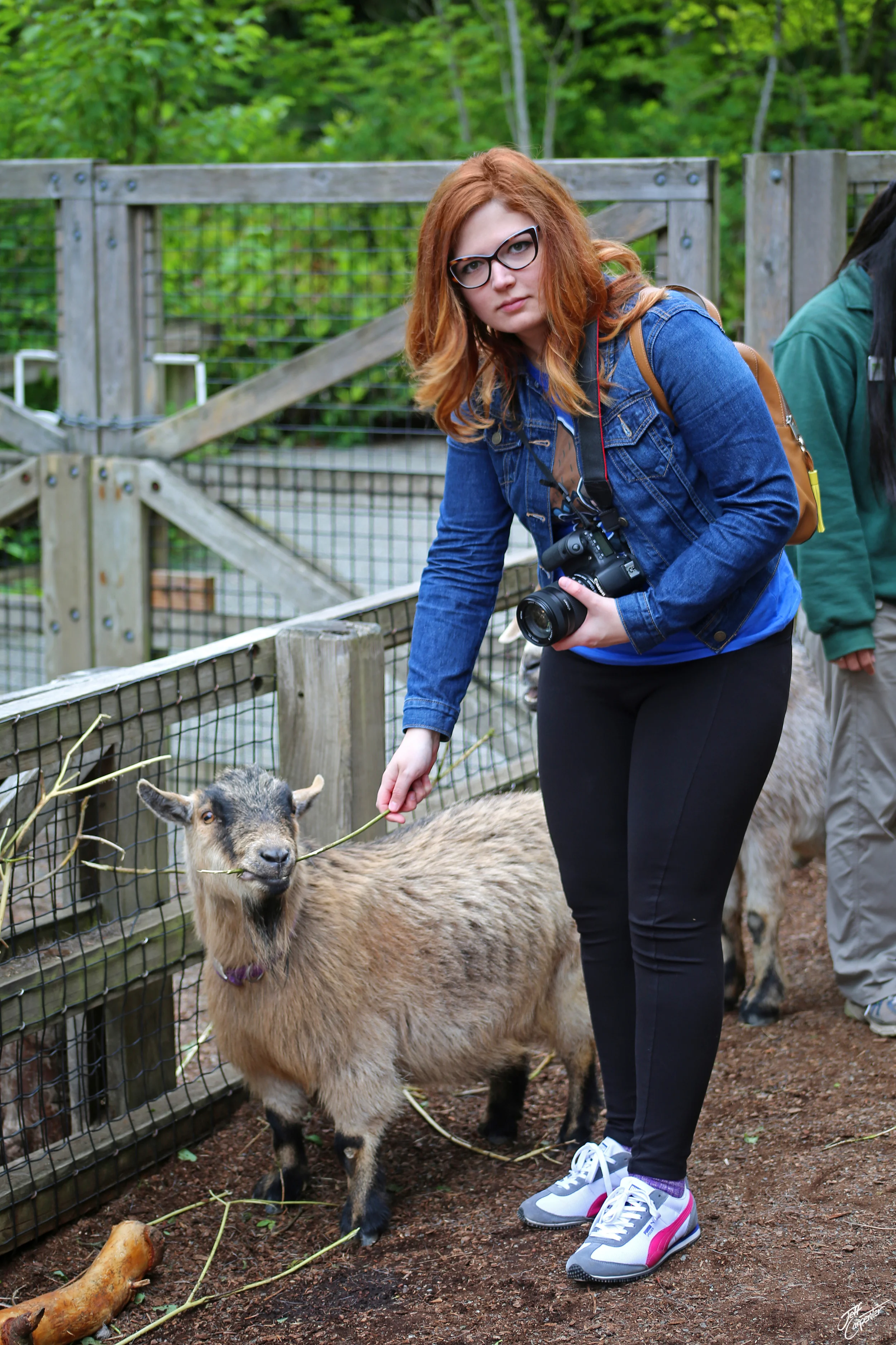 Wren, feeding a goat and matching it's expression.