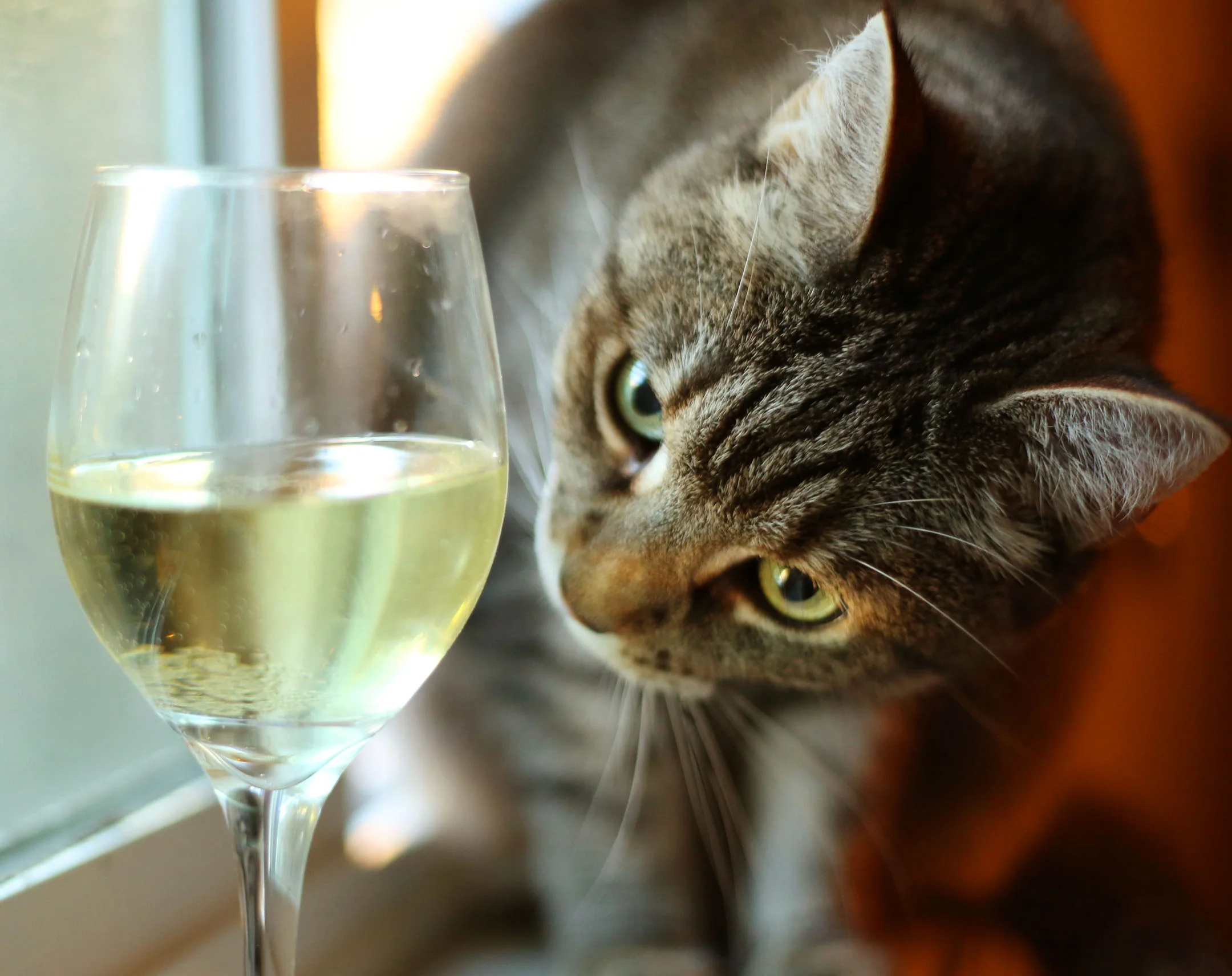 Ms. Delta Bentley. Appreciator of the finer things.