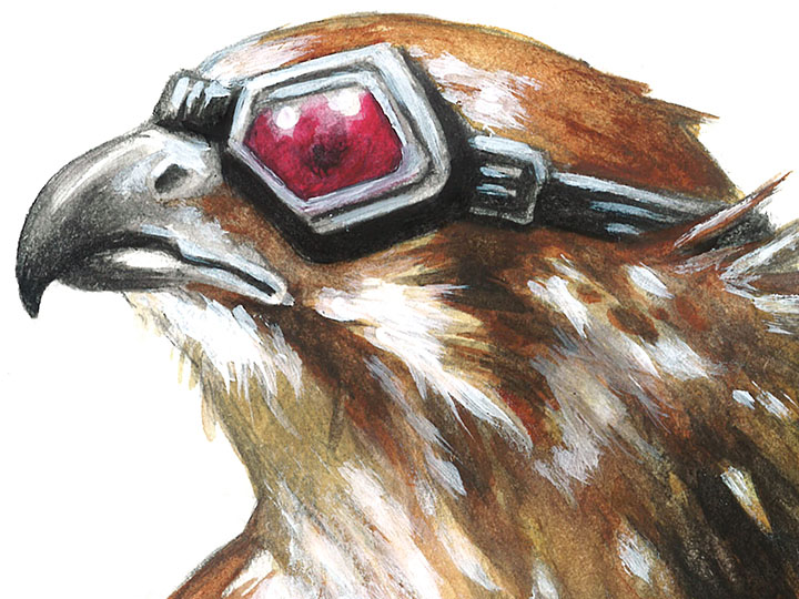 Falcon Thumb.jpg