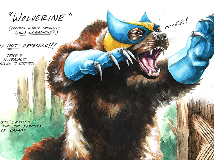 WolverineSketch_Thumb.jpg