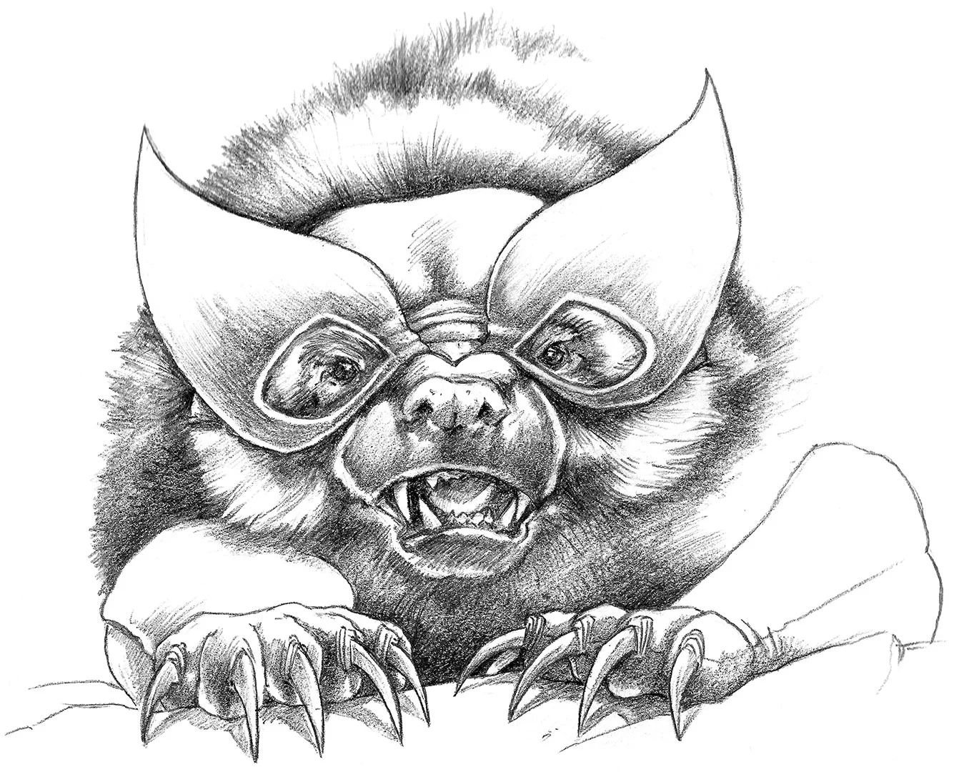Wolverine_Sketch2.jpg