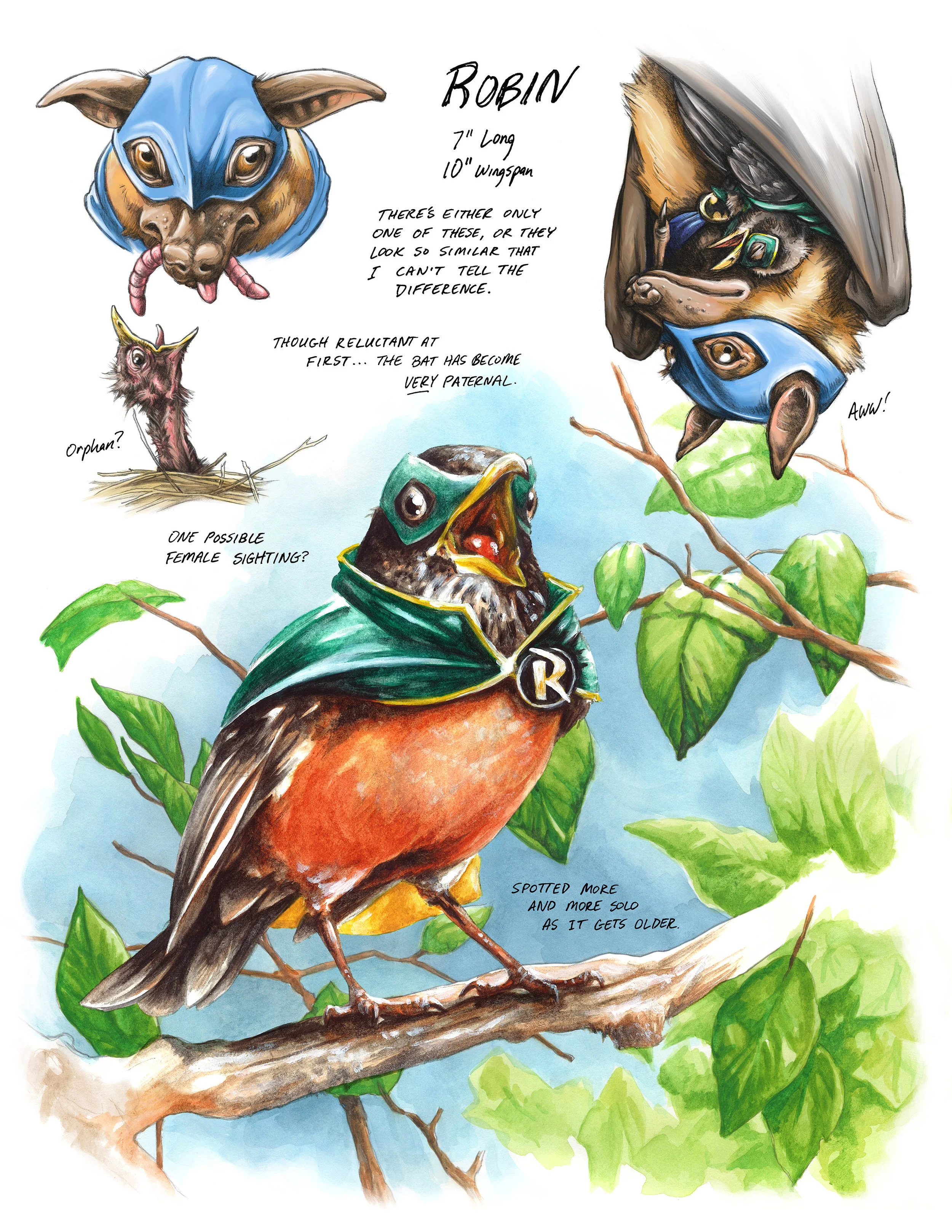 Robin_SinglePage.jpg