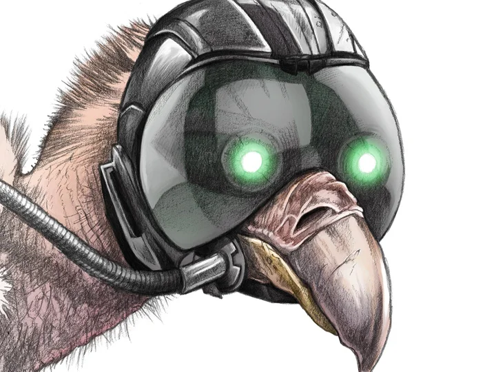 Vulture_Thumb.jpg