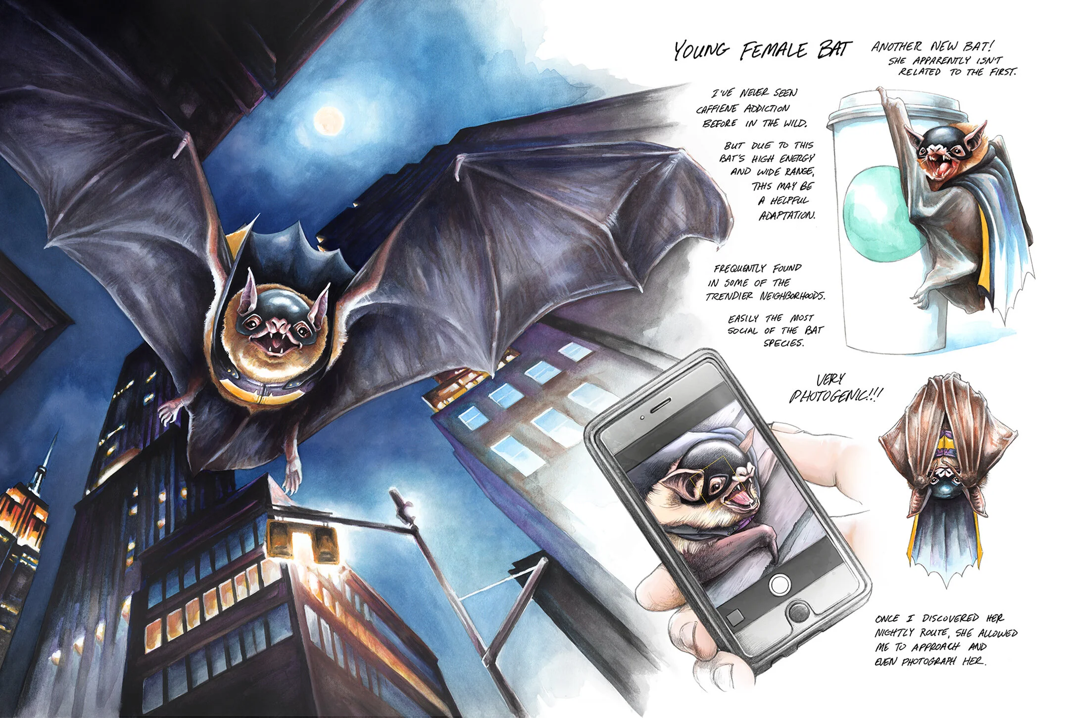 FieldNotes_BookPic3.jpg