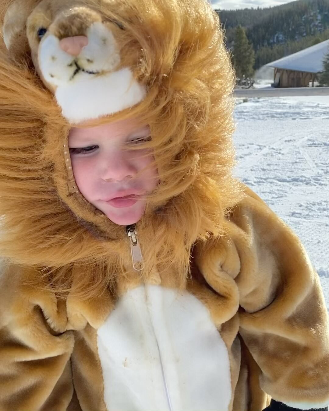 Saturday&rsquo;s dress up day for our Nordic Ski Team was a blast as always! Our littlest skiers searched for pinecones and put them in Chewbacca&rsquo;s pouch. And even little lions can enjoy great big cookies! Come ski today and grab a yummy crepe 