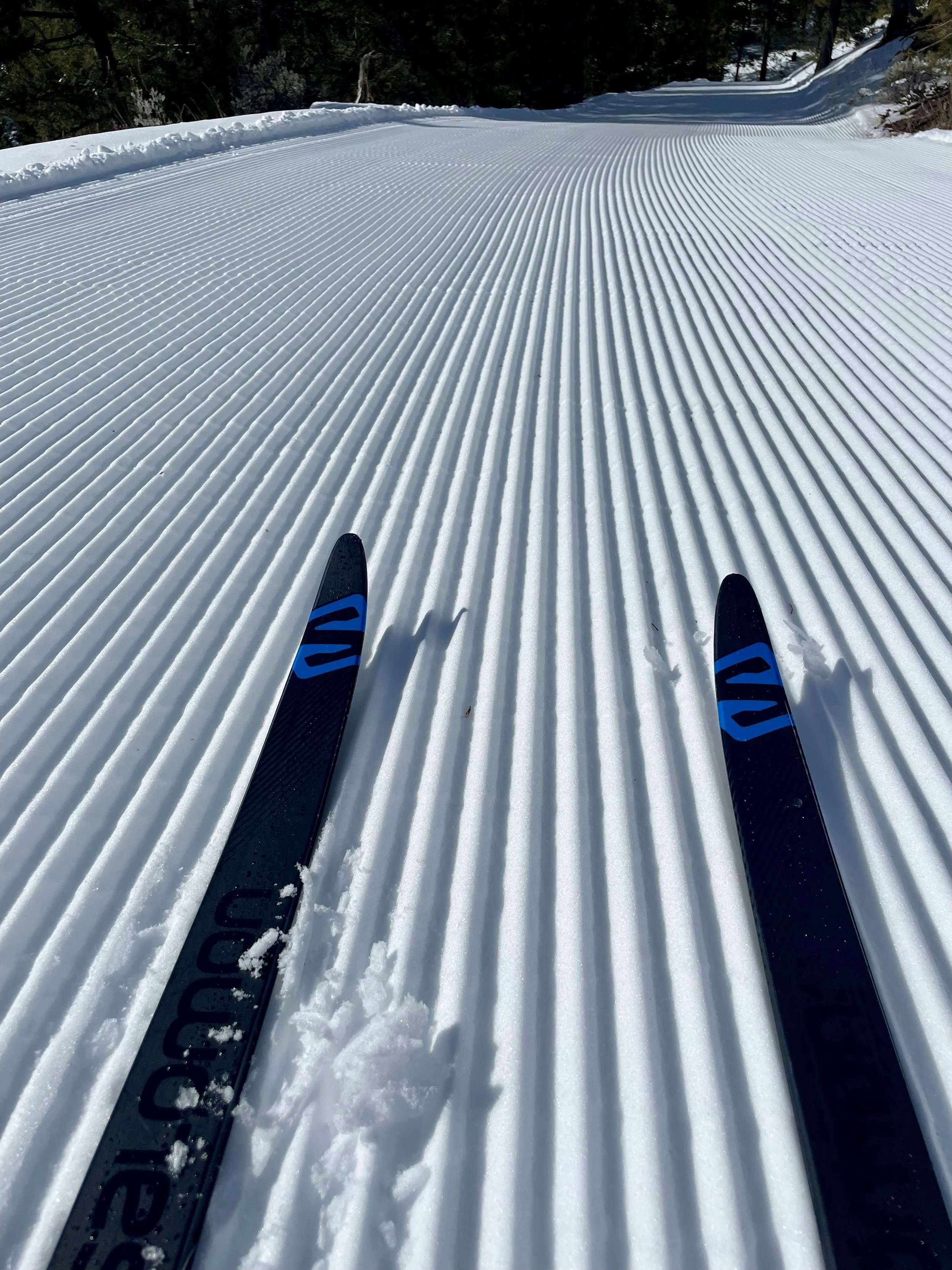 corduroy.jpg