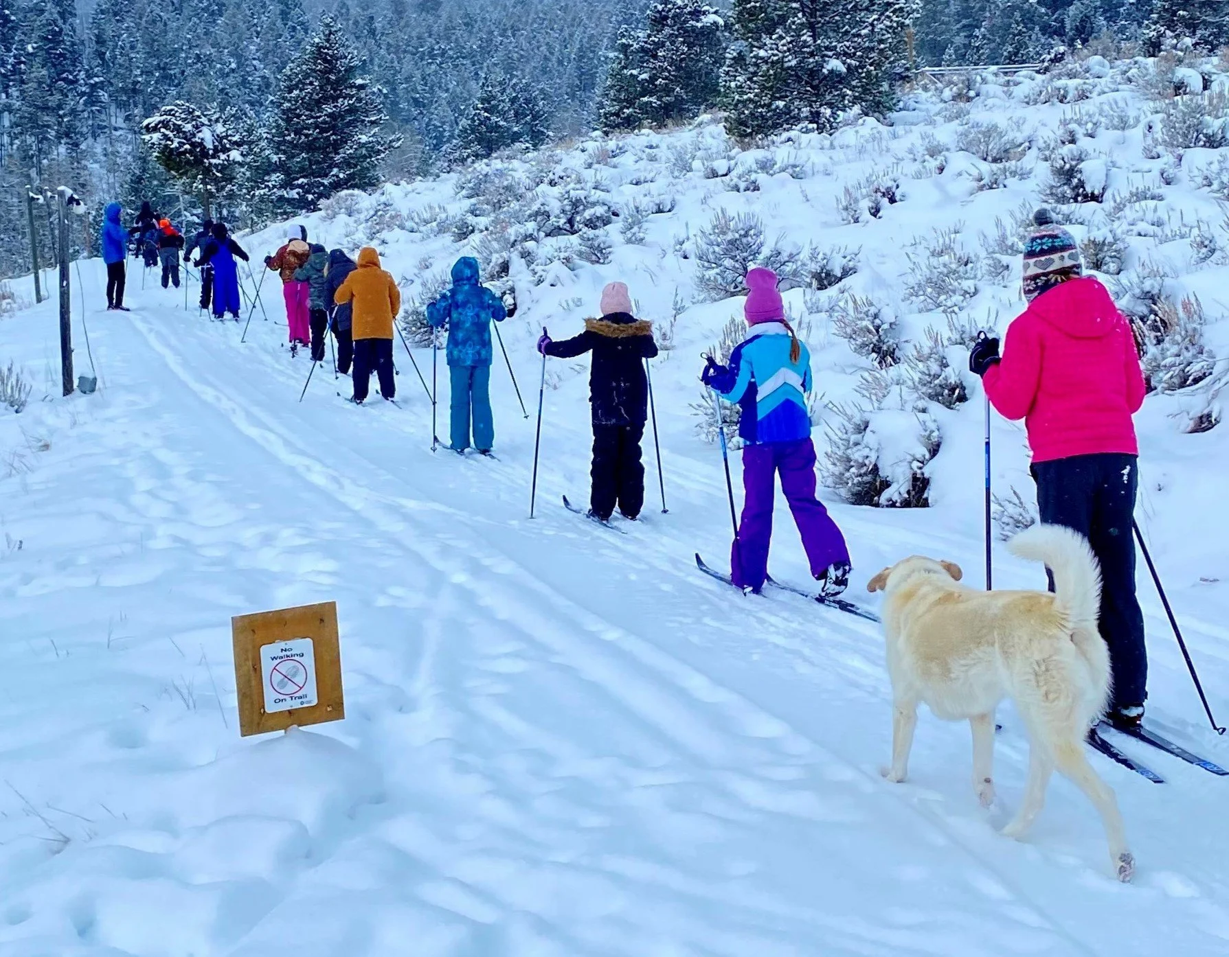 ski program 2023 crop.jpg