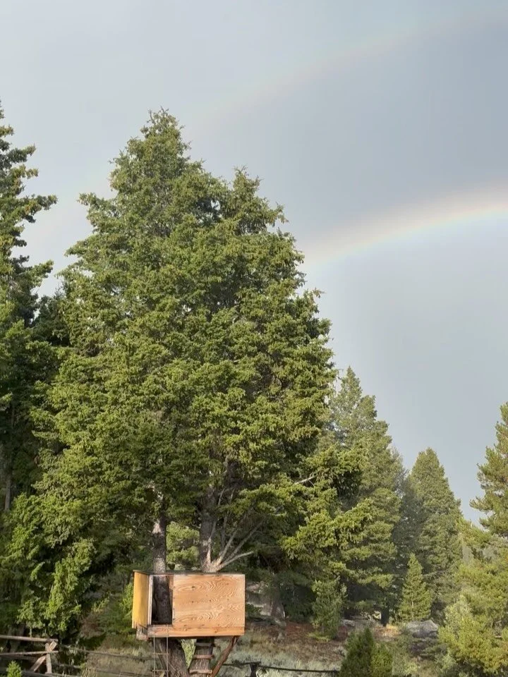 When the ceremony lawn and pavilion are at the end of the double rainbow!
