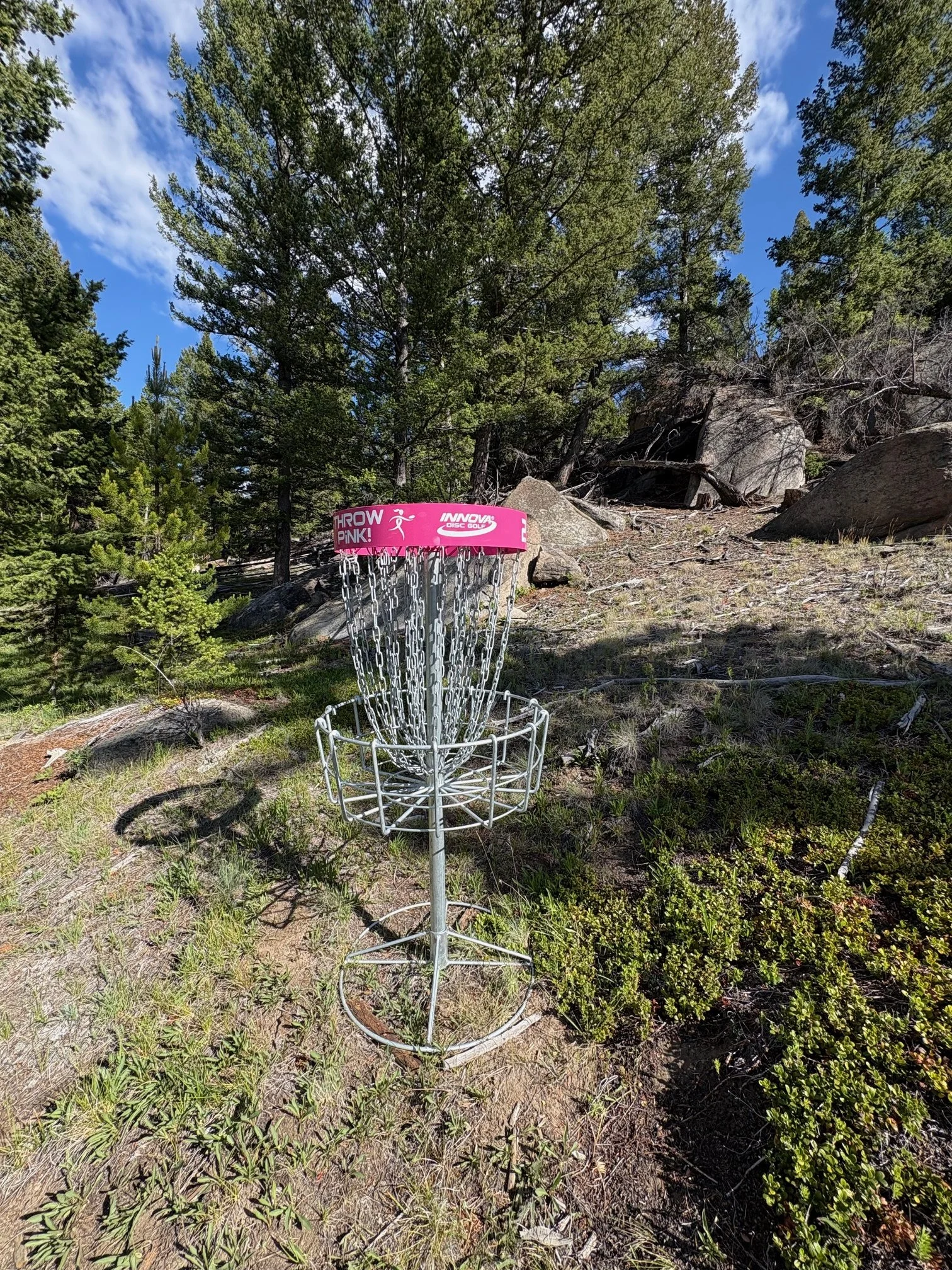 Disc Golf Tee.jpg (Copy)