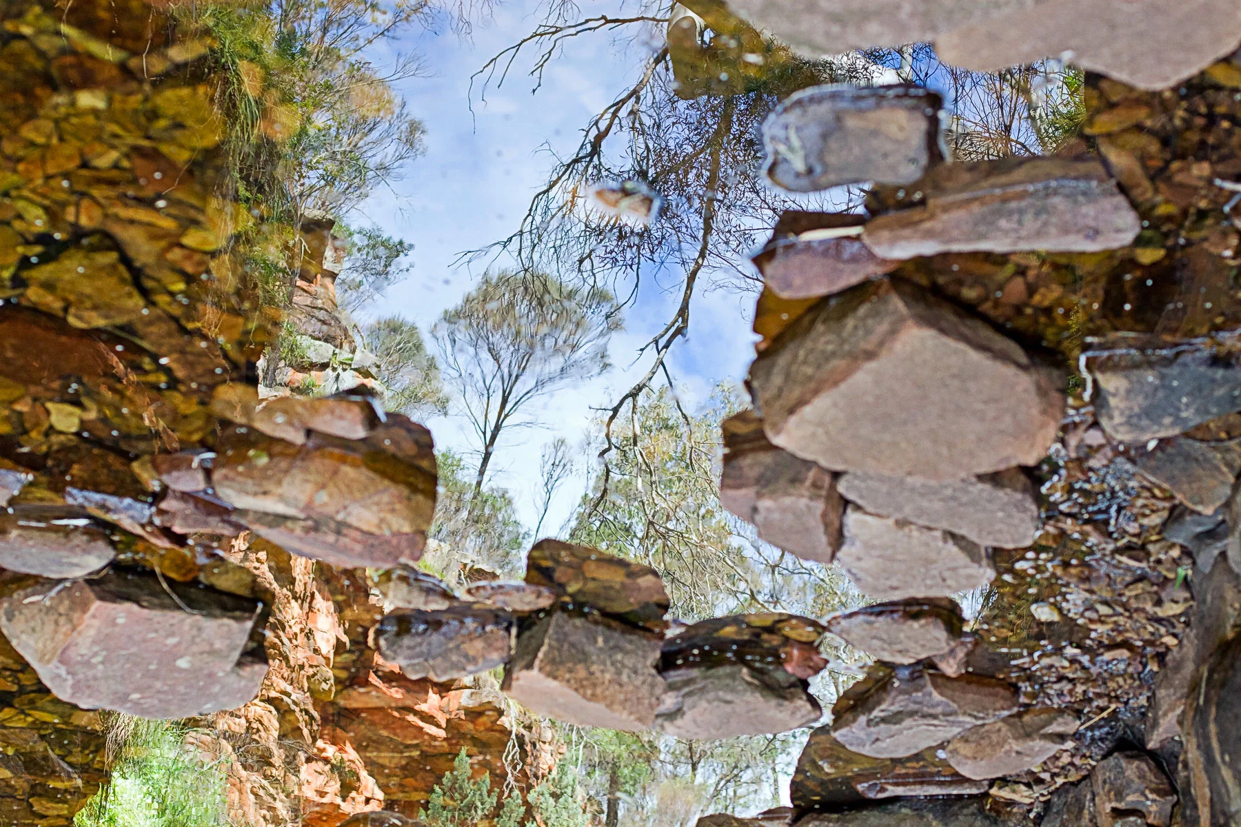 8 flinders bush creek reflection.jpg