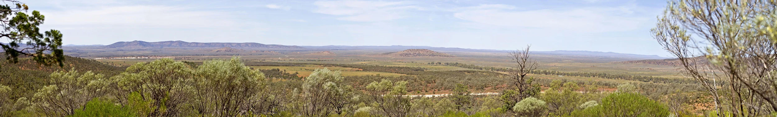 panorama.jpg