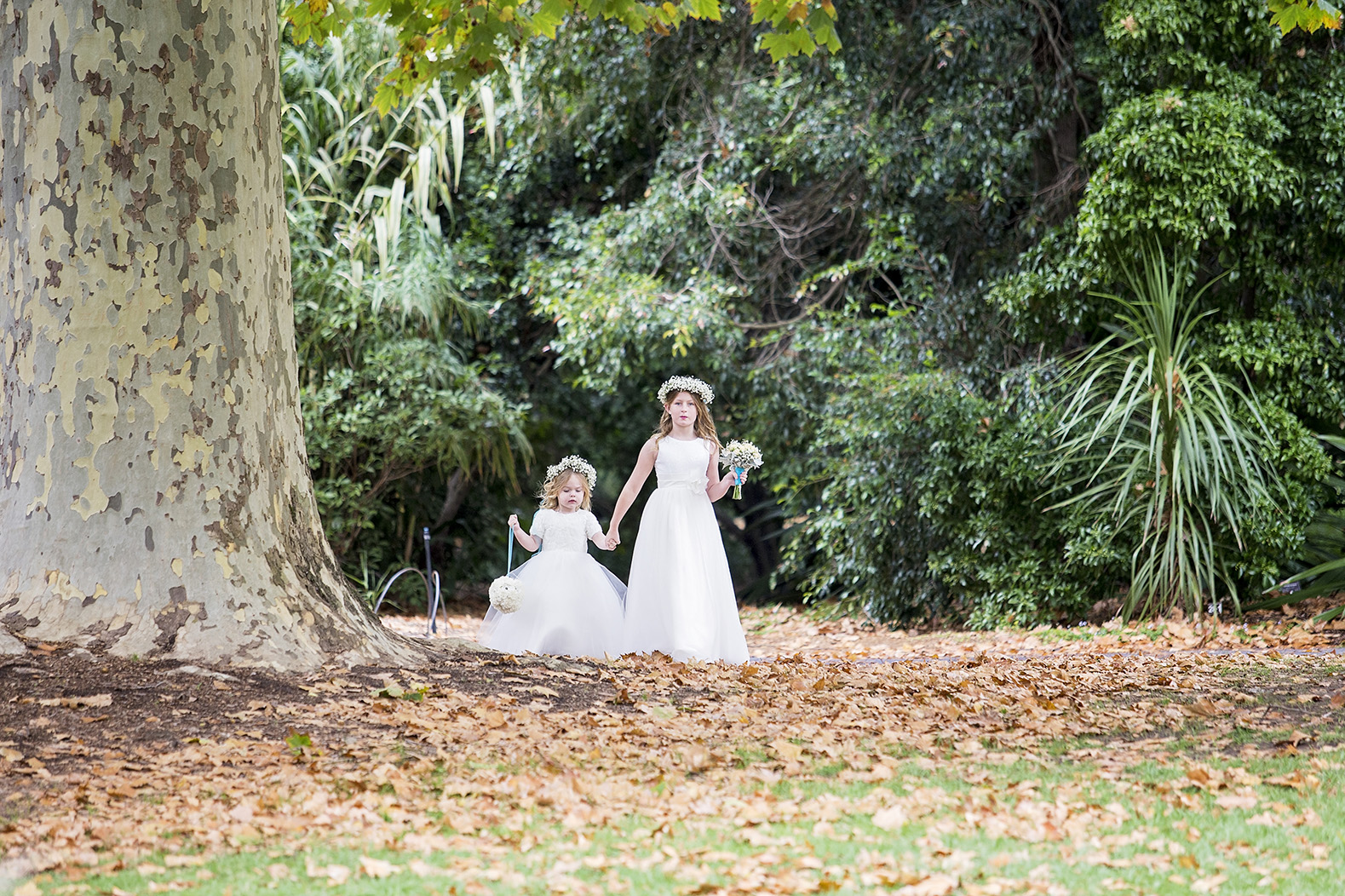 Stunning Adelaide Botanic Gardens Wedding 21.jpg