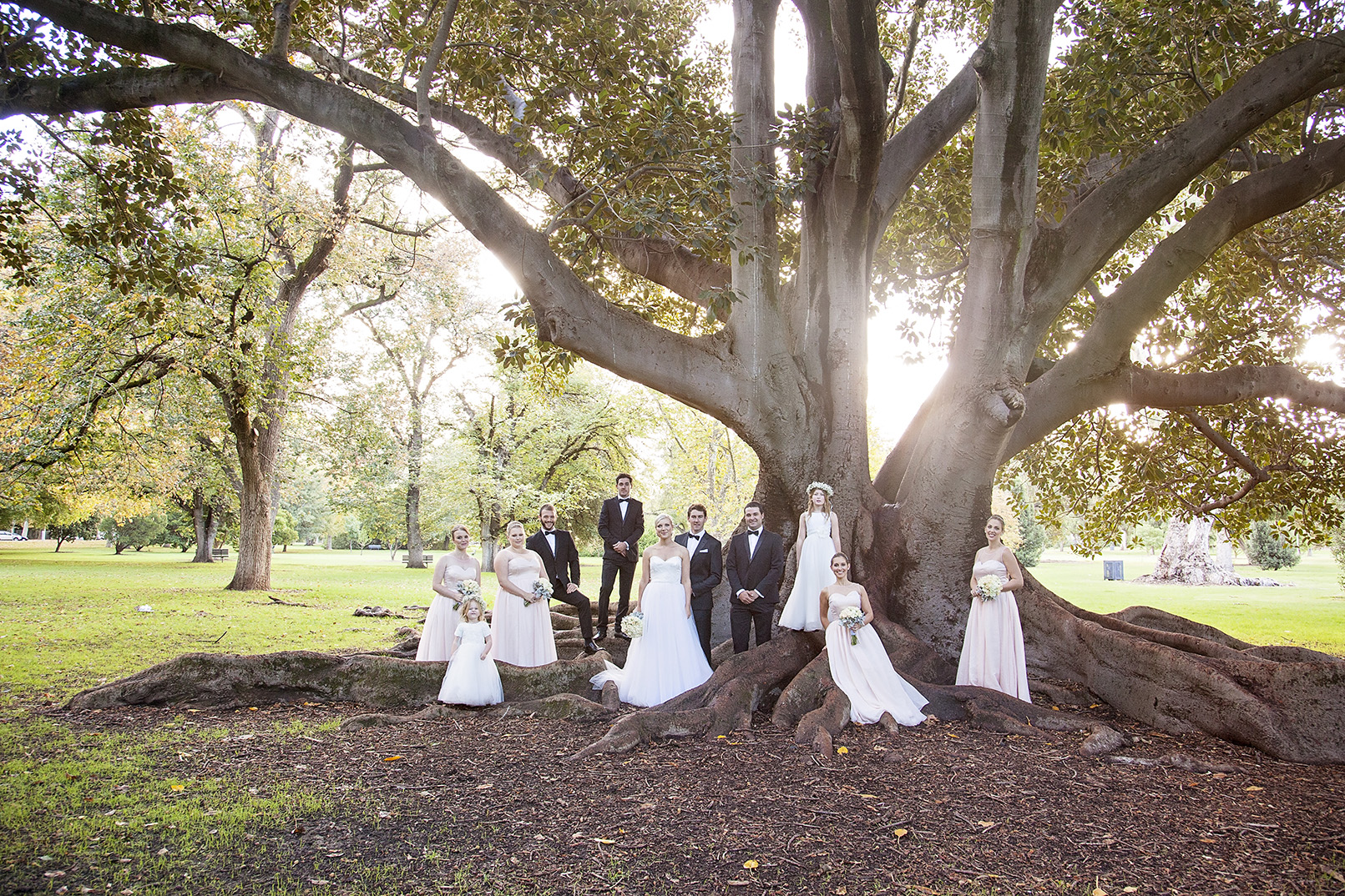 Stunning Adelaide Botanic Gardens Wedding 34.jpg