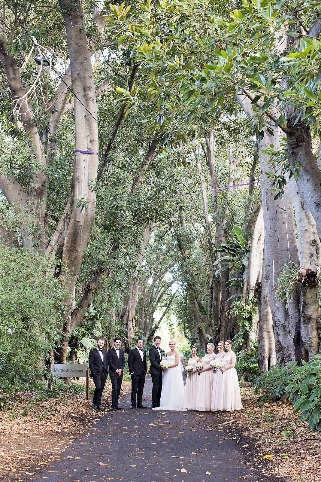 Stunning Adelaide Botanic Gardens Wedding 36.jpg