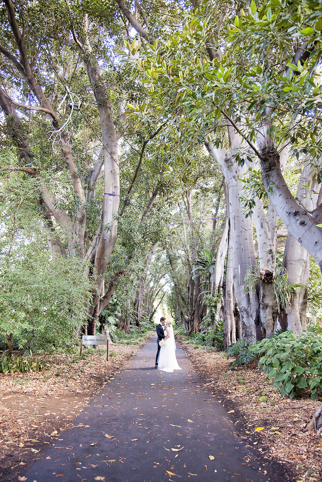Stunning Adelaide Botanic Gardens Wedding 37.jpg