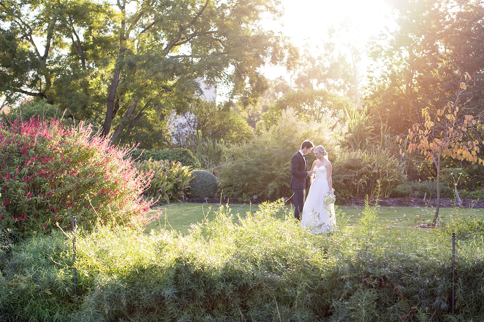 Stunning Adelaide Botanic Gardens Wedding 39.jpg