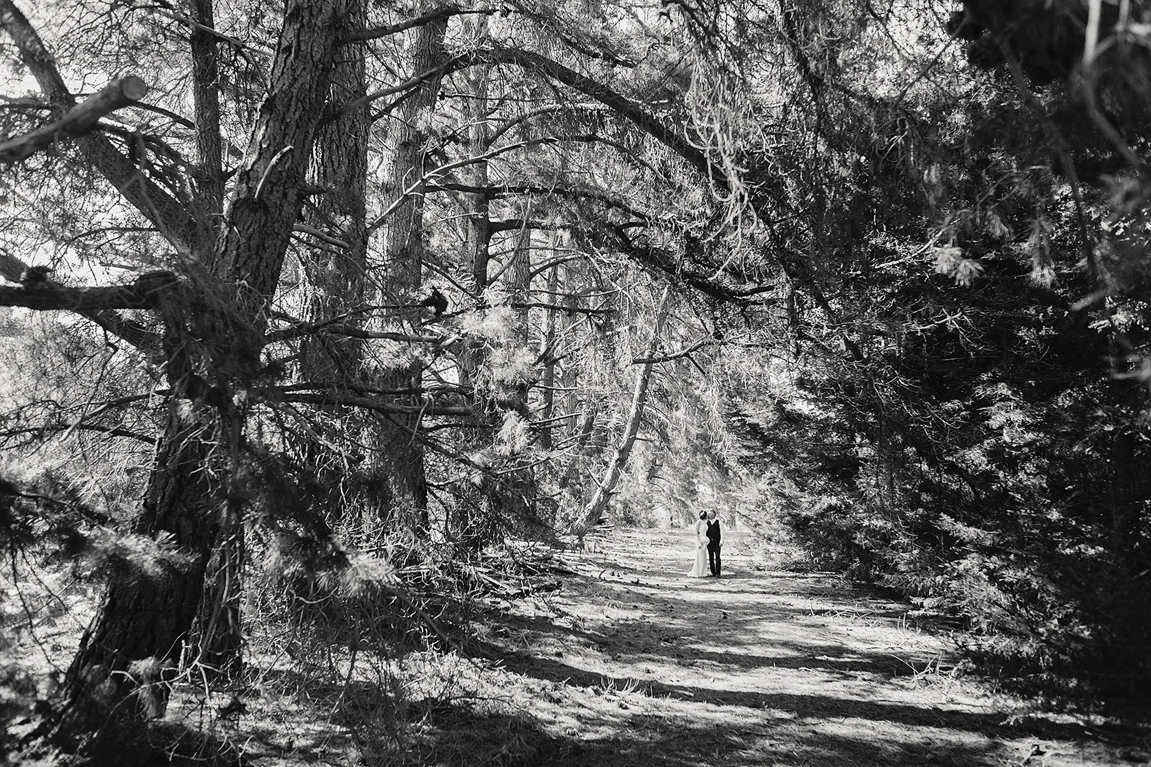 Aimee & Brad's beautiful little family wedding in Balhannah